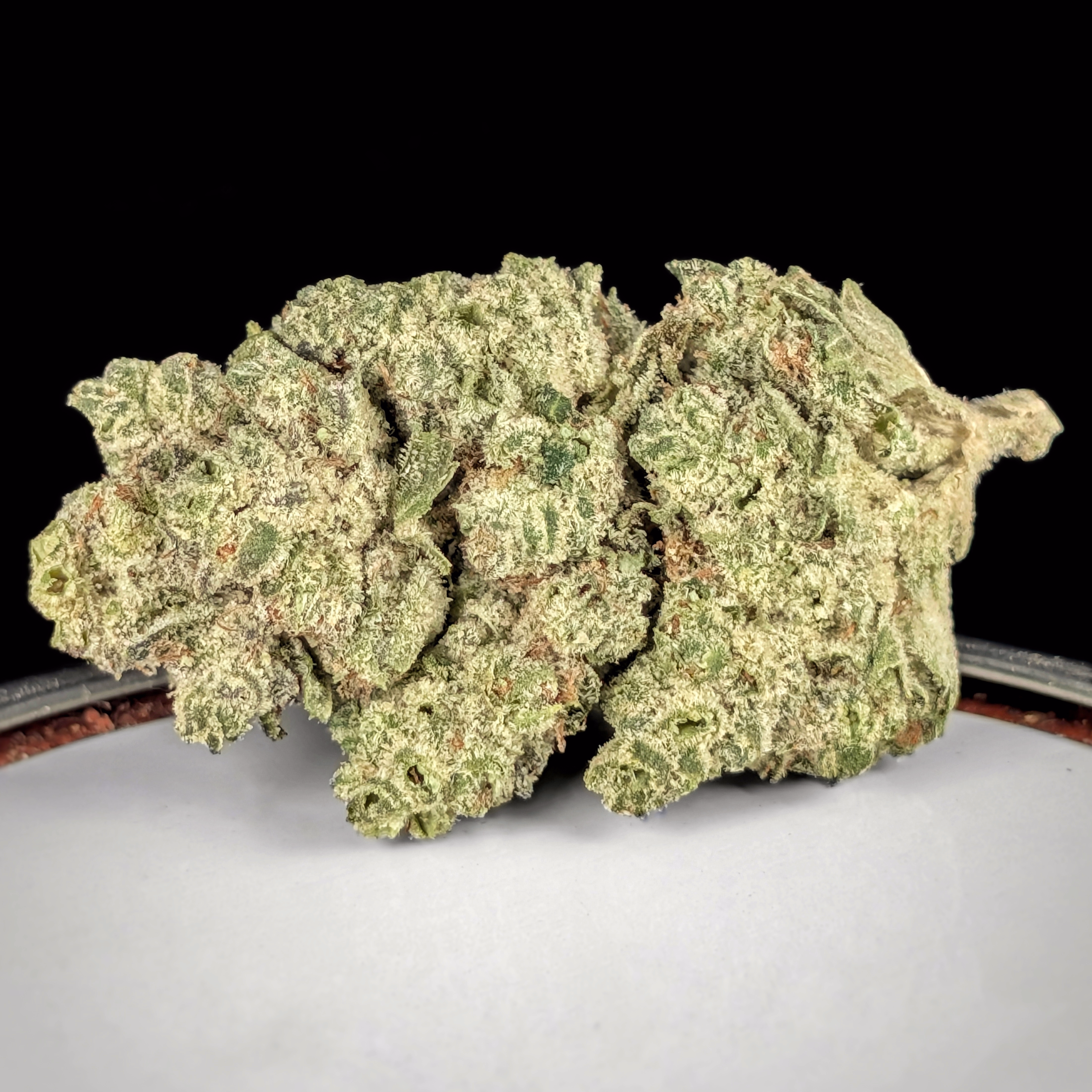 🦍 💨 🦍 Gorilla Glue #4 PR $175oz / $110½oz